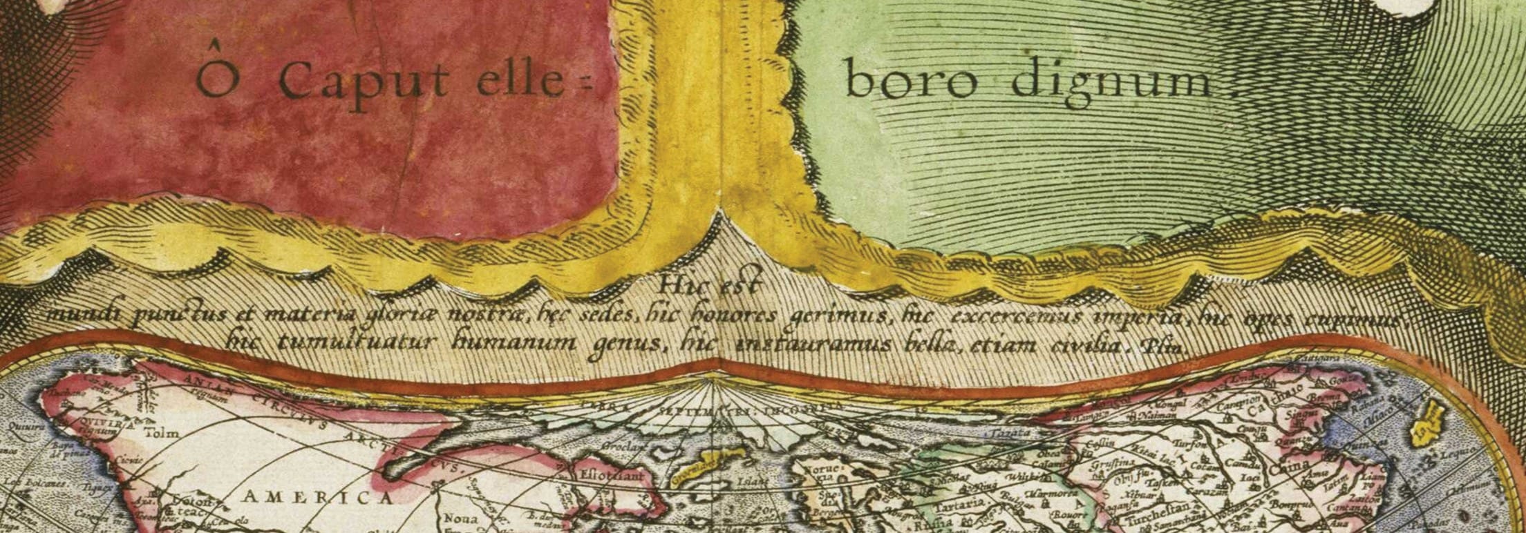 Lumea ca o mascaradă - Satira bufonului Detaliu 2