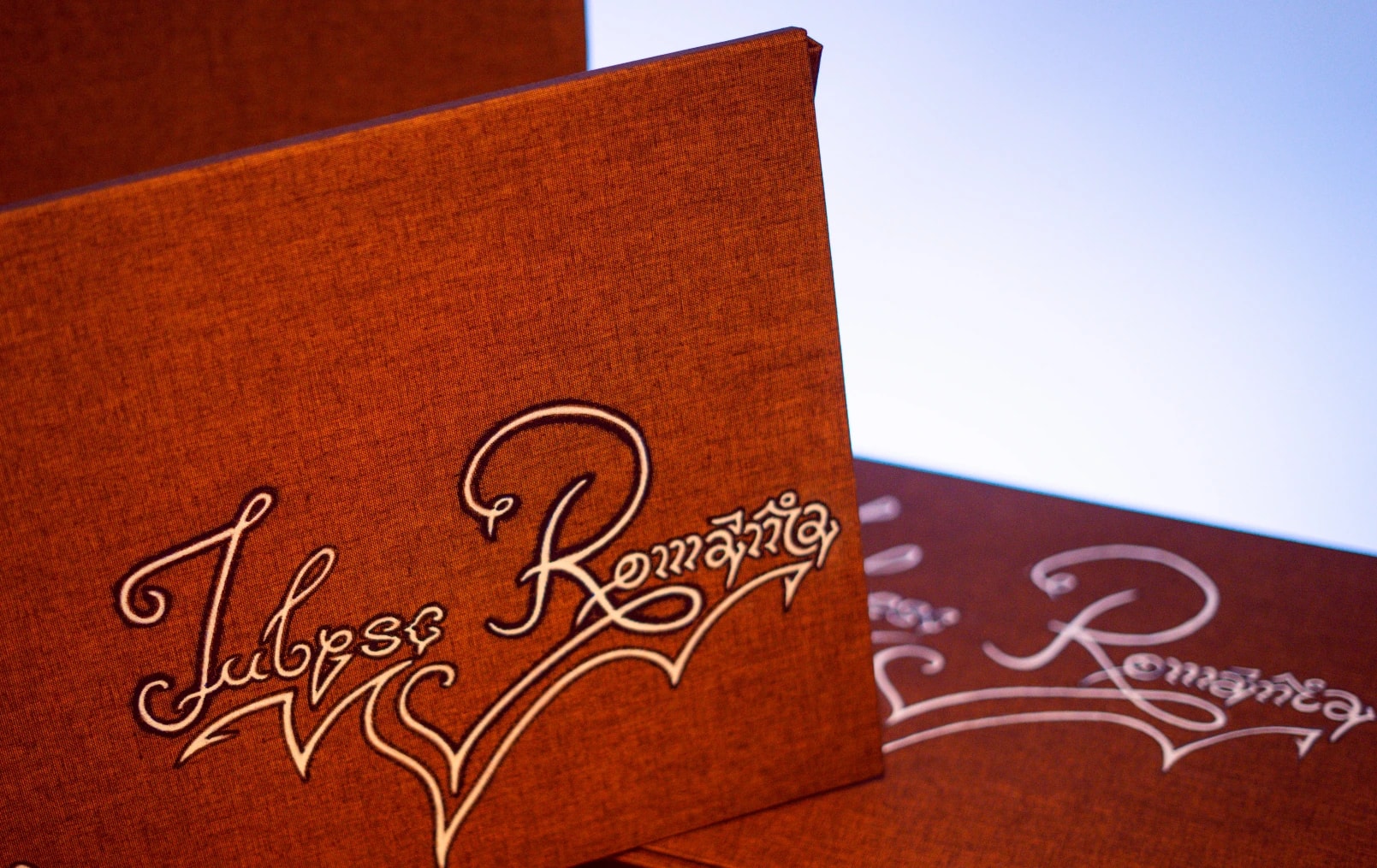 Detaliu mapă vintage